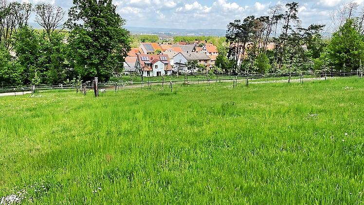 Vom Hang von Atzelsberg kommend fließt Starkregen ohne Rückhaltung ungehindert nach Bräuningshof ab. Nur die geplante Baumaßnahme schützt ein Drittel von Bräuningshof vor Hochwasser.