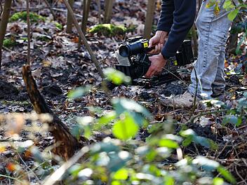 Polizeieinsatz in Waldst&uuml;ck - Fund einer Frauenleiche