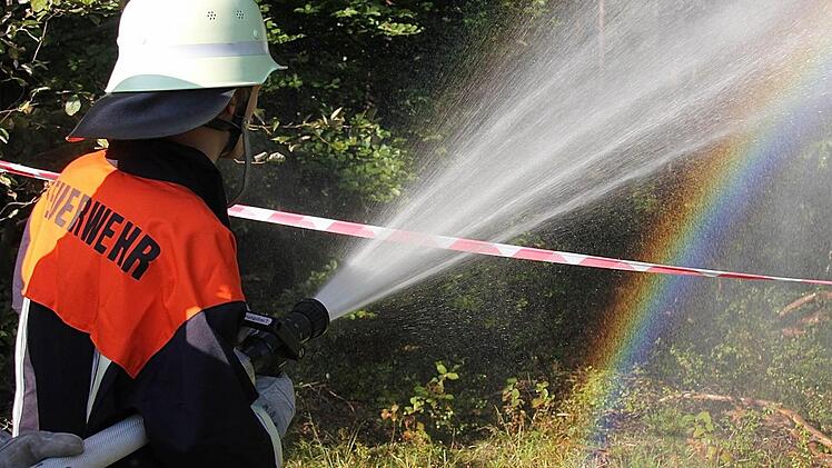 Erstmals simulierte die Freiwillige Feuerwehr Westheim bei ihrer Herbstübung einen Waldbrand. Das Löschwasser musste über fünf Kilometer vom Gewerbegebiet zum Einsatzort am Alten Sportplatz transportiert werden. An der Übung nahmen elf Wehren teil.  Fotos: Gerd Schaar