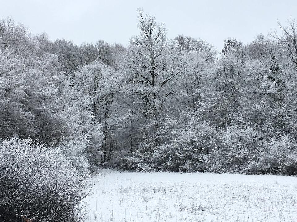 Die schönsten Fotos im Januar aus Forchheim und Umgebung