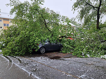 Bamberg: Nächtlicher Schneefall überrascht Feuerwehr - rund 20 Einsätze in kurzer Zeit