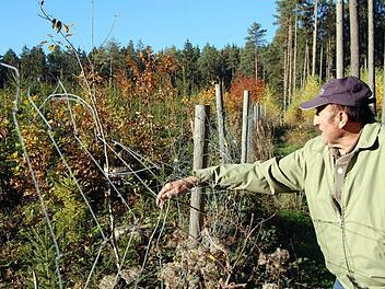 Sein Leben ist der Wald: Siegfried Steiner (Eppo) repariert den Wildzaun seiner Schonung.  Foto: Andreas Welz