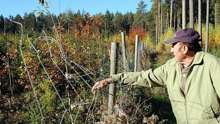 Sein Leben ist der Wald: Siegfried Steiner (Eppo) repariert den Wildzaun seiner Schonung.  Foto: Andreas Welz