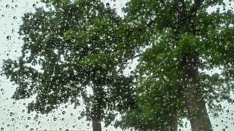 Regenwetter