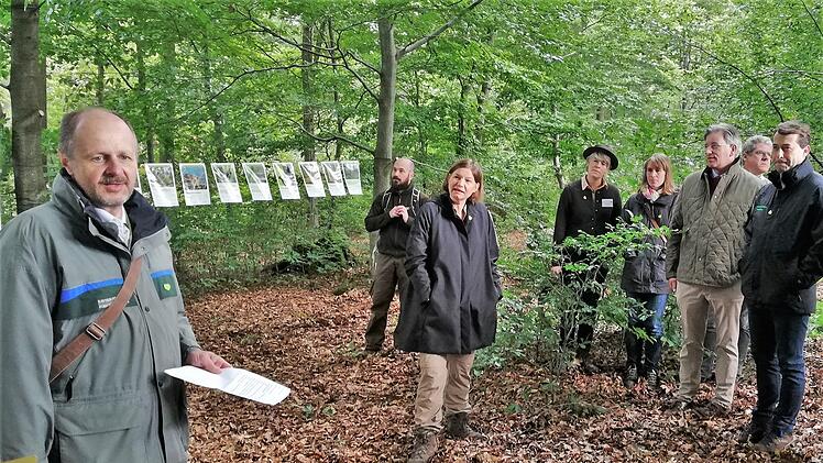 Leitender Forstdirektor Oliver Kröner (AELF, Bad Neustadt) bei seinem Fachvortrag zur Eröffnung der Deutschen Waldtage 2022.