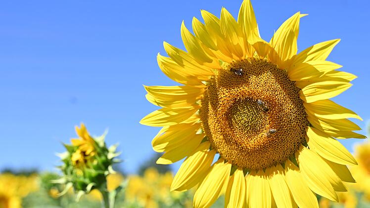 Wetter in Baden-W&uuml;rttemberg