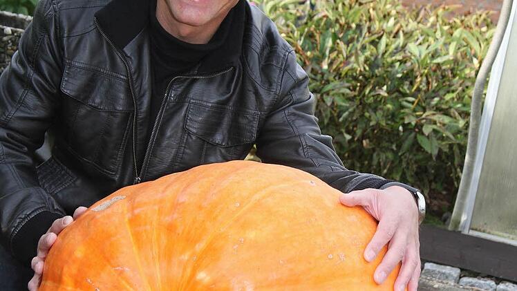 50 Kilo wiegt der Kürbis, den Joachim Kober in seinem Garten gezüchtet hat.