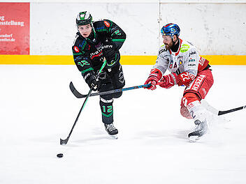 N&auml;chster bekannter Name verl&auml;sst die H&ouml;chstadt Alligators
