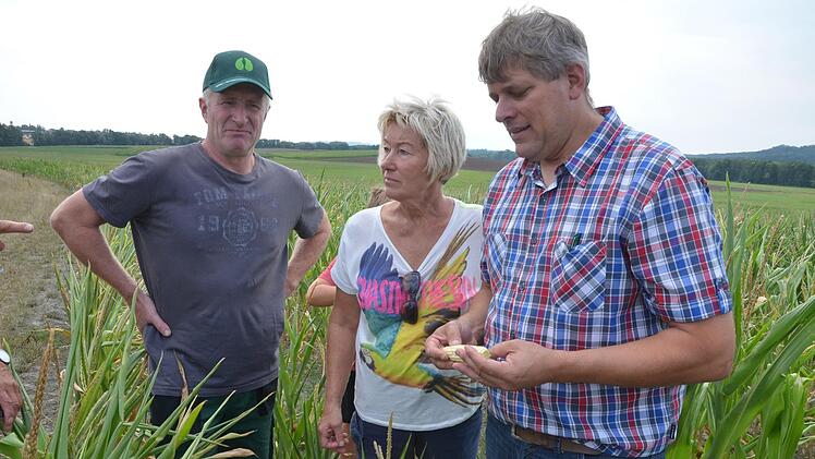 Bernd Rottmann, Heidi Bauersachs und Martin Flohrschütz begutachten einen Maisacker auf dem kaum etwas steht. Fotos: Rainer Lutz