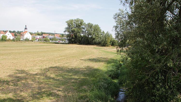 Laut Verwaltungsgericht ist dieser Graben die Reiche Ebrach.  Foto: Andreas Dorsch