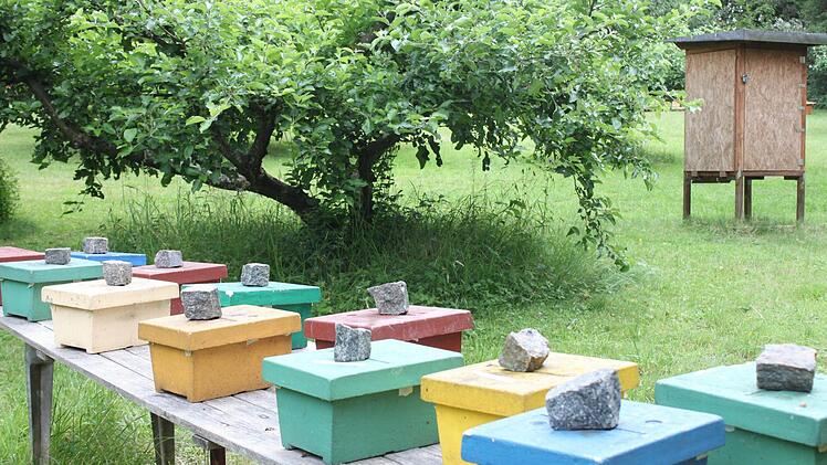 In diesen bunten Kästen wachsen Bienenköniginnen heran.