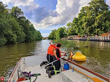 Bamberg: Feuerwehreinsatz oberhalb der Hainbadestelle - Einsatzkräfte müssen Baum sichern