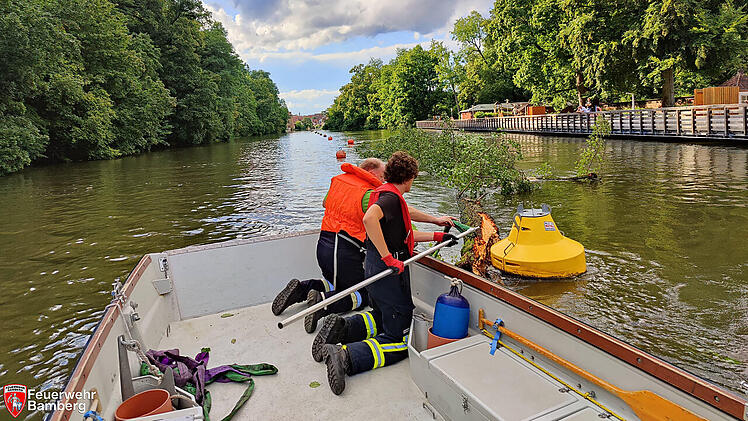 Bamberg: Feuerwehreinsatz oberhalb der Hainbadestelle - Einsatzkräfte müssen Baum sichern