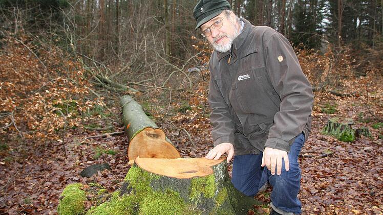 Heinrich Hümpfner, stellvertretender Leiter des Forstbetriebes Bad Brückenau, zeigt einen der unzähligen Buchenstämme, die derzeit nicht gerückt werden können. Foto: Ralf Ruppert