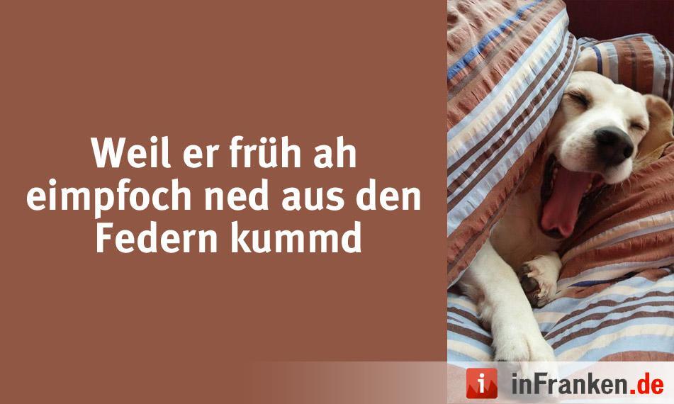 Foto: Nicole Hrdina