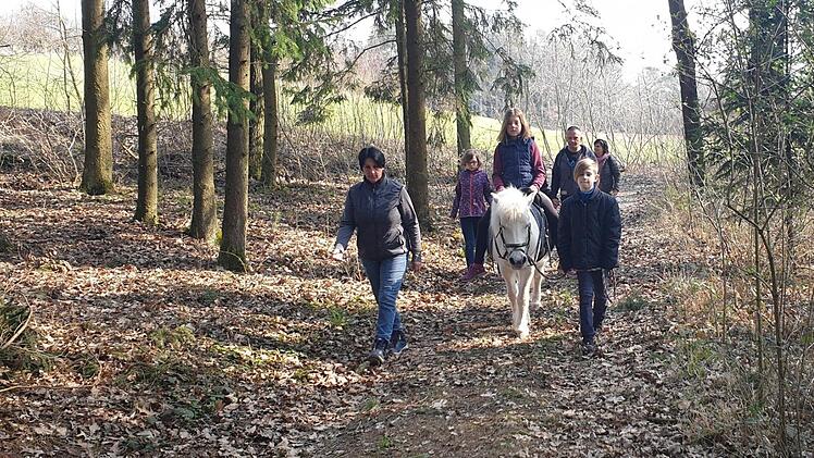 Das Pflegen, Putzen und Satteln von Ponys stand für die  Kinder in Neuensee im Mittelpunkt, bevor sie einen kleinen Spaziergang mit den Tieren unternahmen. Foto: Stefan Wich