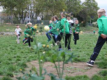Hier macht das Kicken keinen Spa&szlig; mehr: Der Fu&szlig;ballplatz des FC Wacker am Margaretendamm ist marode. Foto: Alexander von Stetten