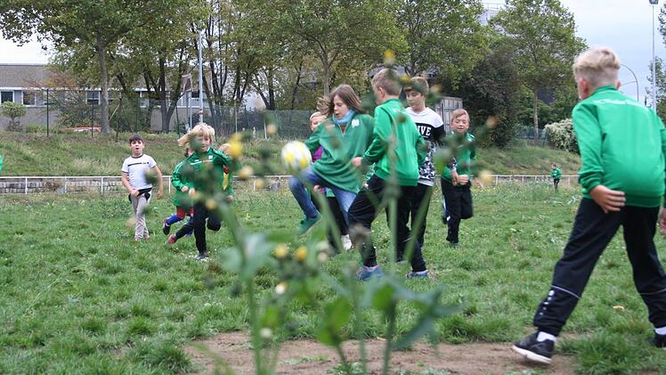 Hier macht das Kicken keinen Spa&szlig; mehr: Der Fu&szlig;ballplatz des FC Wacker am Margaretendamm ist marode. Foto: Alexander von Stetten