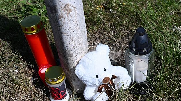 Schreckliche Tat: Mutter und Baby tot - Kleinkind schwer verletzt