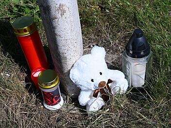 Schreckliche Tat: Mutter und Baby tot - Kleinkind schwer verletzt Schreckliche Tat: Mutter und Baby tot - Kleinkind schwer verletzt