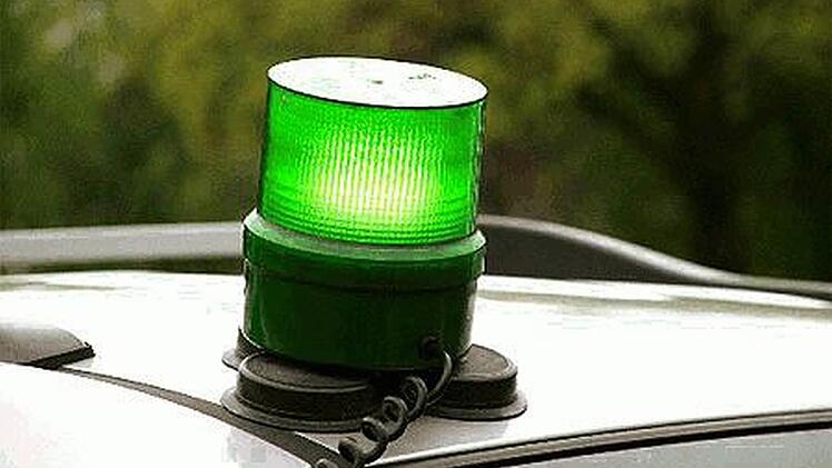 Eine gute Idee? Grünes Blinklicht auf dem Weg zum Feuerwehrhaus. Foto: privat