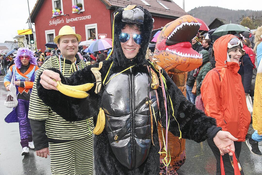 Großer Faschingsumzug  zum Stadtsteinacher Marktplatz