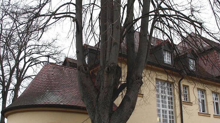 Unter der Linde der Berufsschule für Flechtwerkgestaltung versammelten sich die Organisatoren, Juroren und Sponsoren des Fotowettbewerbes "Bäume im Landkreis Lichtenfels", um gemeinsam den Startschuss für den einjährigen Wettbewerb zu geben (von links): Klaus Gagel (Fotoclub Michelau), Mario Kern (Fotogruppe Bad Staffelstein), Oliver Hofmann (Sparkasse Coburg-Lichtenfels), Bernd Flieger (Untere Naturschutzbehörde), Landrat Christian Meißner, Michael Stromer (Umweltstation), Siegfried Mischke ...