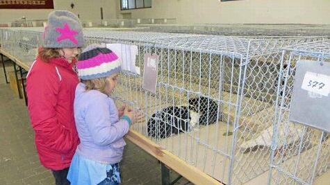 Den Kindern Jasmin und Lena hatten es eher die Häschen angetan.