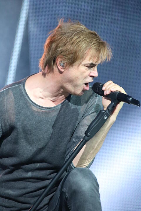 Die Toten Hosen bei Rock im Park 2017