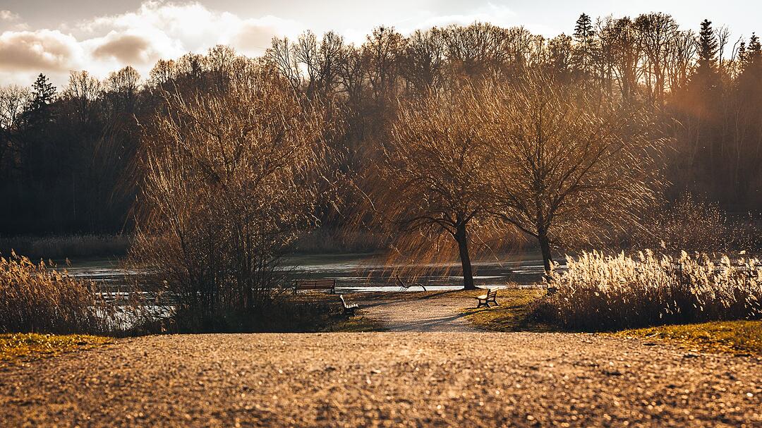 Die schönsten Frühlingsfotos aus Coburg und Umgebung