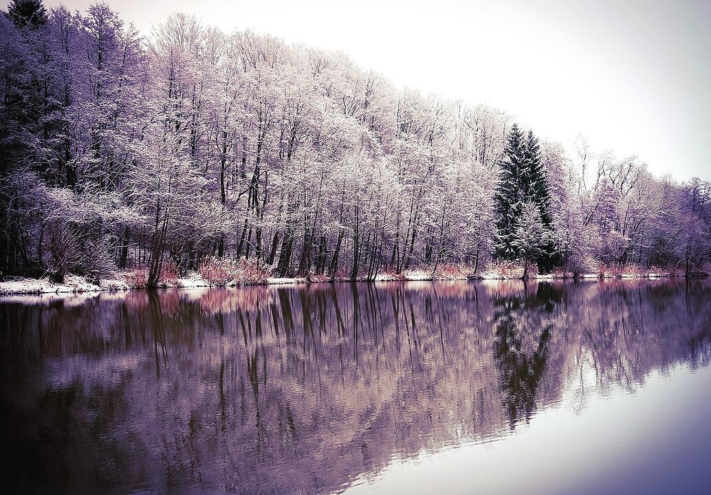 Die schönsten Frühlingsfotos aus Coburg und Umgebung