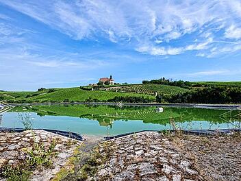 Weinbau - Pilotprojekte im Kampf ums Wasser