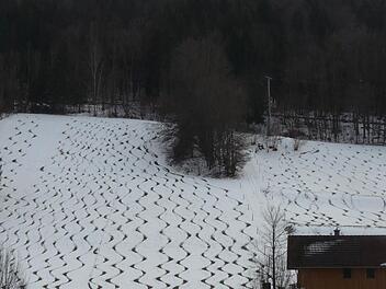 Der anspruchsvolle Skihang in MuggendorfFotos: privat