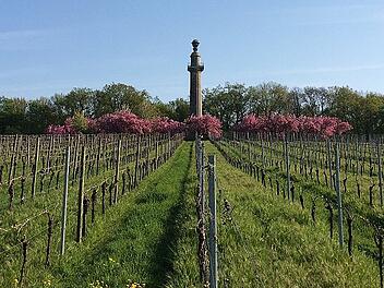 Gro&szlig;es B&uuml;rgerfest an der Konstitutionss&auml;ule in Gaibach