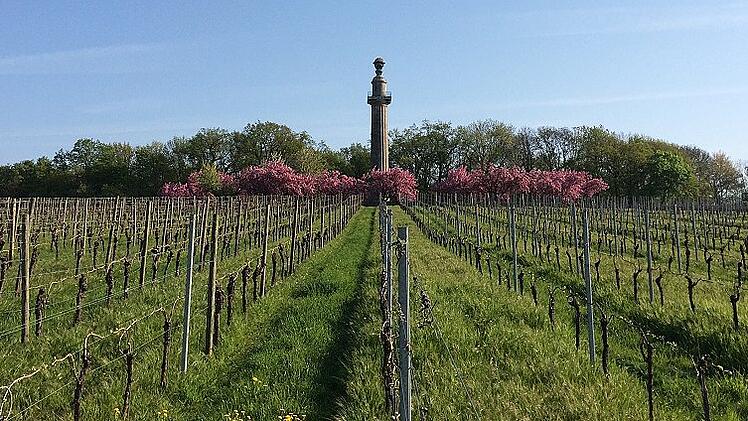 Gro&szlig;es B&uuml;rgerfest an der Konstitutionss&auml;ule in Gaibach