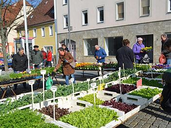 Blumen und Pflanzen waren am Höchstadter Ostermarkt wieder sehr gefragt.  Fotos: Larissa Händel