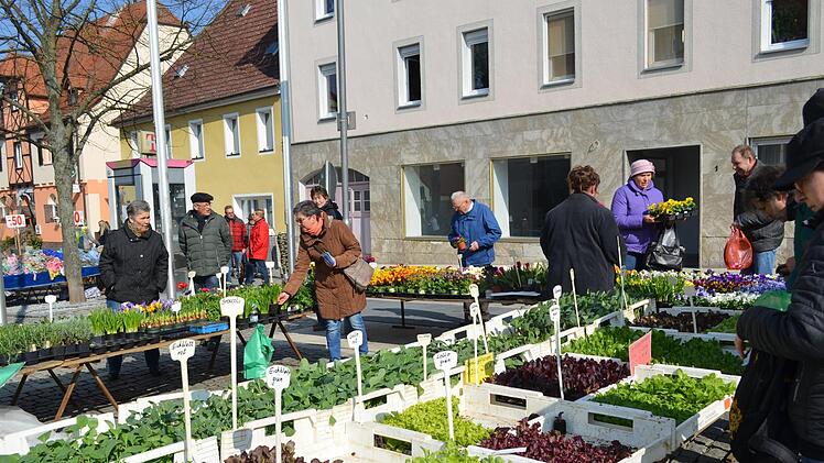 Blumen und Pflanzen waren am Höchstadter Ostermarkt wieder sehr gefragt.  Fotos: Larissa Händel