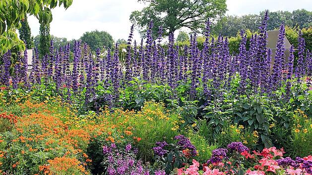 Im Herbst erstrahlt der Garten in den leuchtendsten Farben.