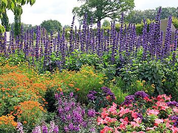 Im Herbst erstrahlt der Garten in den leuchtendsten Farben.
