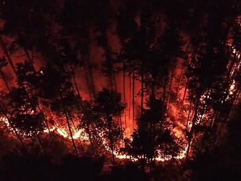 Auf 3000 Quadratmetern brannte am vergangenen Mittwoch der Hauptsmoorwald. Foto: Merzbach, News5/Archiv