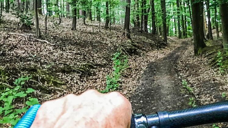 Nach den Quellen von Priesendorf geht es steil durch ein kleines, idyllisches Waldstück.  Fotos: Michael  Wehner