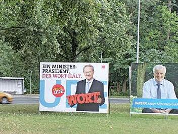 Die Großplakate heißen "Wesselmänner". Sie werden in der Regel über die Parteizentralen gebucht und stehen nur für die Dauer des Wahlkampfs, wie hier an der "Gaudlitz-Kreuzung".