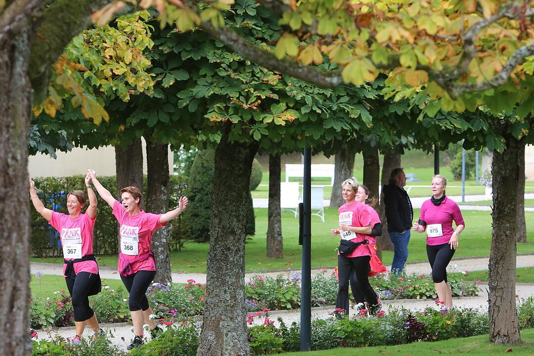 Pinklauf 2015