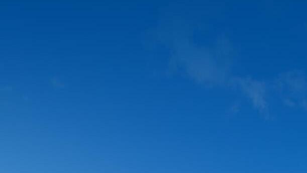 Foto: Shawn Hempel/adobestock.com