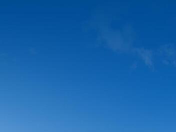 Foto: Shawn Hempel/adobestock.com