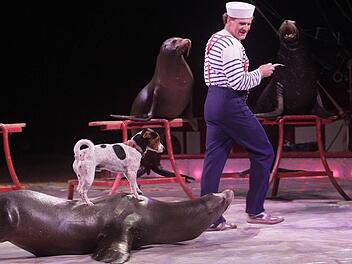 Wer macht denn da den Easy Rider? Terrier Max reist huckepack auf einer kanadischen Mähnenrobbe durch die Manege von Circus Krone. Nur eine der vielen "tierischen" Showeinlagen im aktuellen Programm, mit dem das Unternehmen bis 16. Oktober in Bayreuth gastiert. Fotos: Jochen Nützel