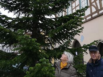 Robert und Theresia Kiesel freuen sich über den schön gewachsenen Christbaum, den sie der Stadt zur Verfügung stellen konnten. Foto: Heike Beudert
