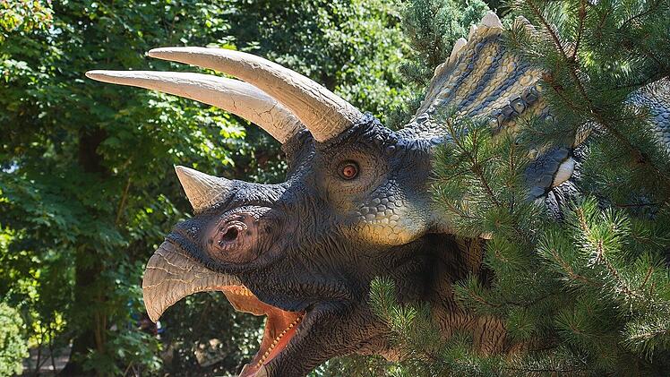Ein Ausflug zu Dinosauriern zum Anfassen ist für Kinder garantiert spannend.