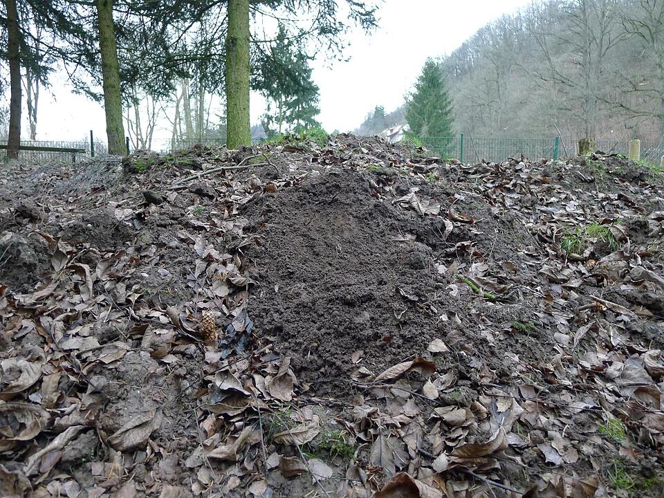 Der Erdaushub sitzt als gewaltiger Berg in der hintersten Gartenecke. Wir schaffen ihn nicht weg, sondern werden ihn später für weitere Projekte verwenden.
