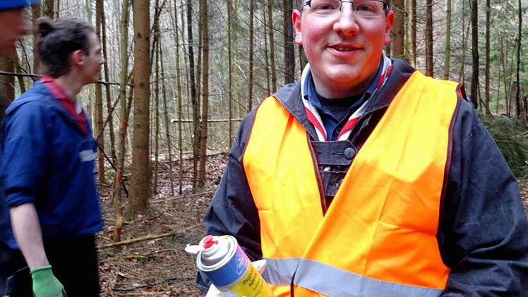 Nerv bei der Arbeit im Wald Foto: Johanna Blum